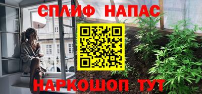 шишки Брянск