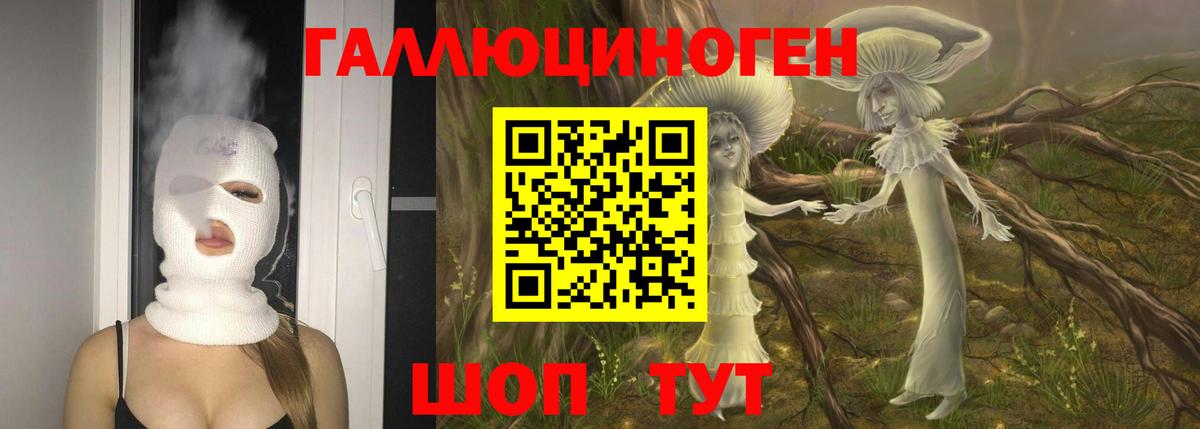 Псилоцибиновые грибы Psilocybine cubensis  Вход с VPN  Владивосток 
